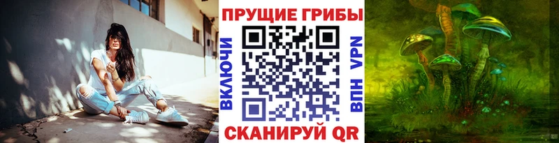 Галлюциногенные грибы Psilocybine cubensis  цена   kraken tor  Жердевка 