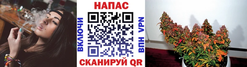 Марихуана сатива  Жердевка 